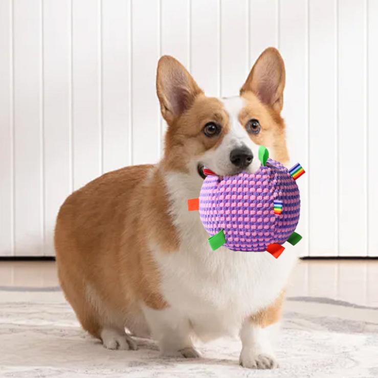 Colorful Dog Chew Ball Toy with Bell – 17cm, Durable & Safe