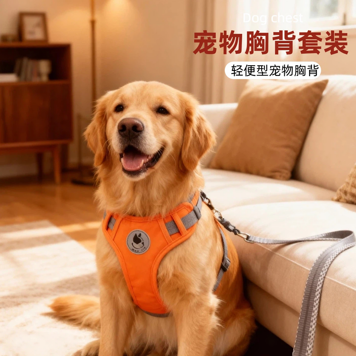 Dog Harness & Leash Set – Breathable Oxford Fabric, Multi-Size & Multi-Color