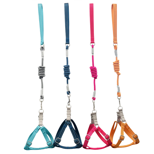 Reflective Pet Harness and Leash Set - Heavy-Duty Dog Vest