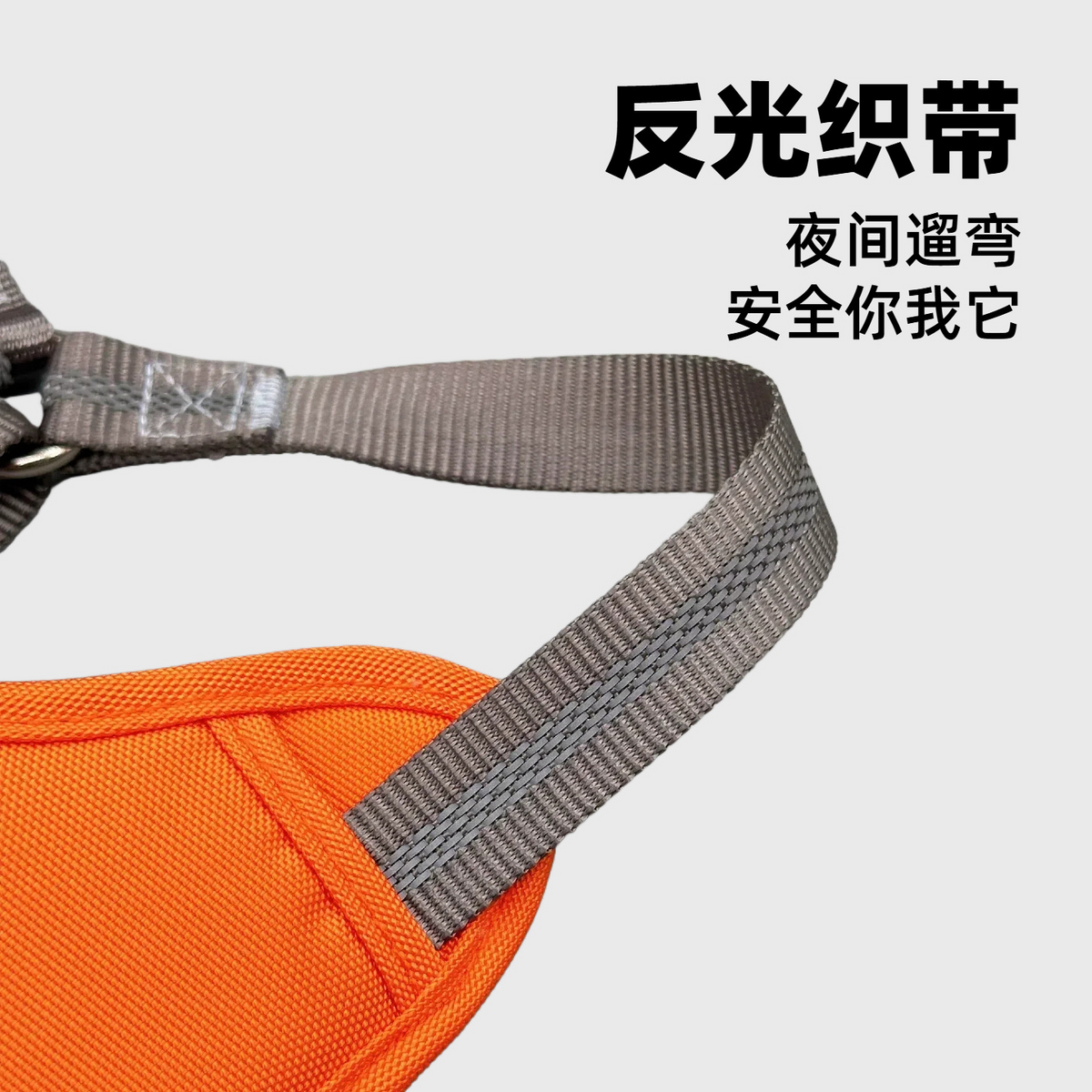 Dog Harness & Leash Set – Breathable Oxford Fabric, Multi-Size & Multi-Color