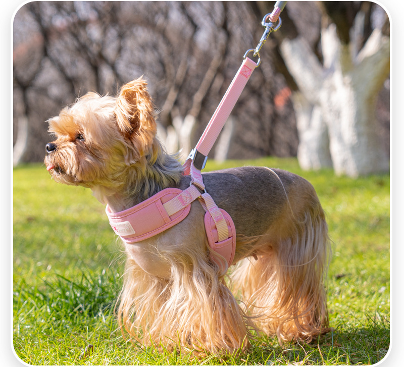 Escape-Proof Breathable Mesh Dog Harness & Leash Set