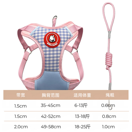 Breathable Color-Block Patchwork Pet Harness and Leash Set