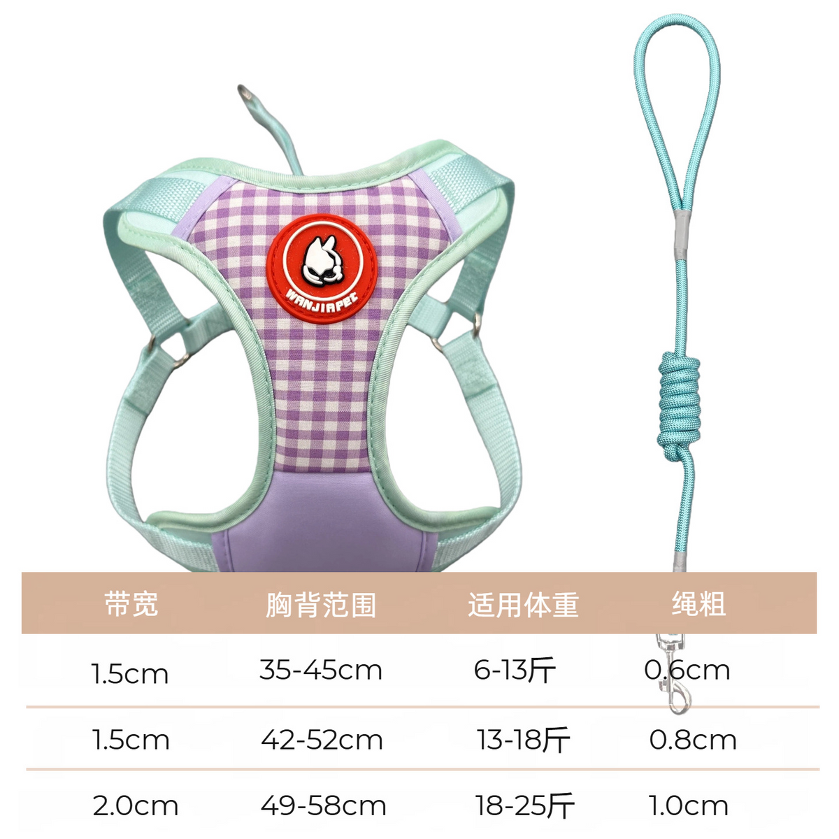 Breathable Color-Block Patchwork Pet Harness and Leash Set